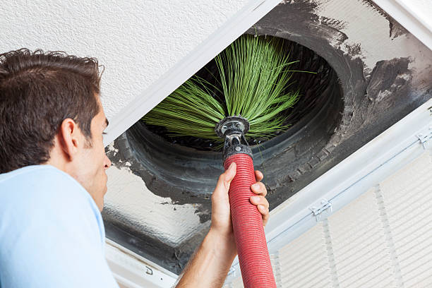 Best Air Duct Sanitizing Services  in Dermott, AR